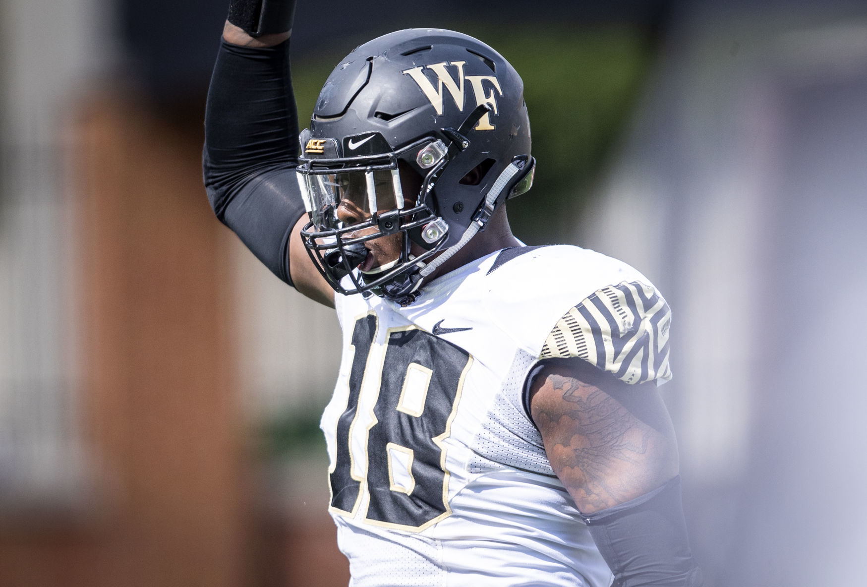 WFUSpring (copy)